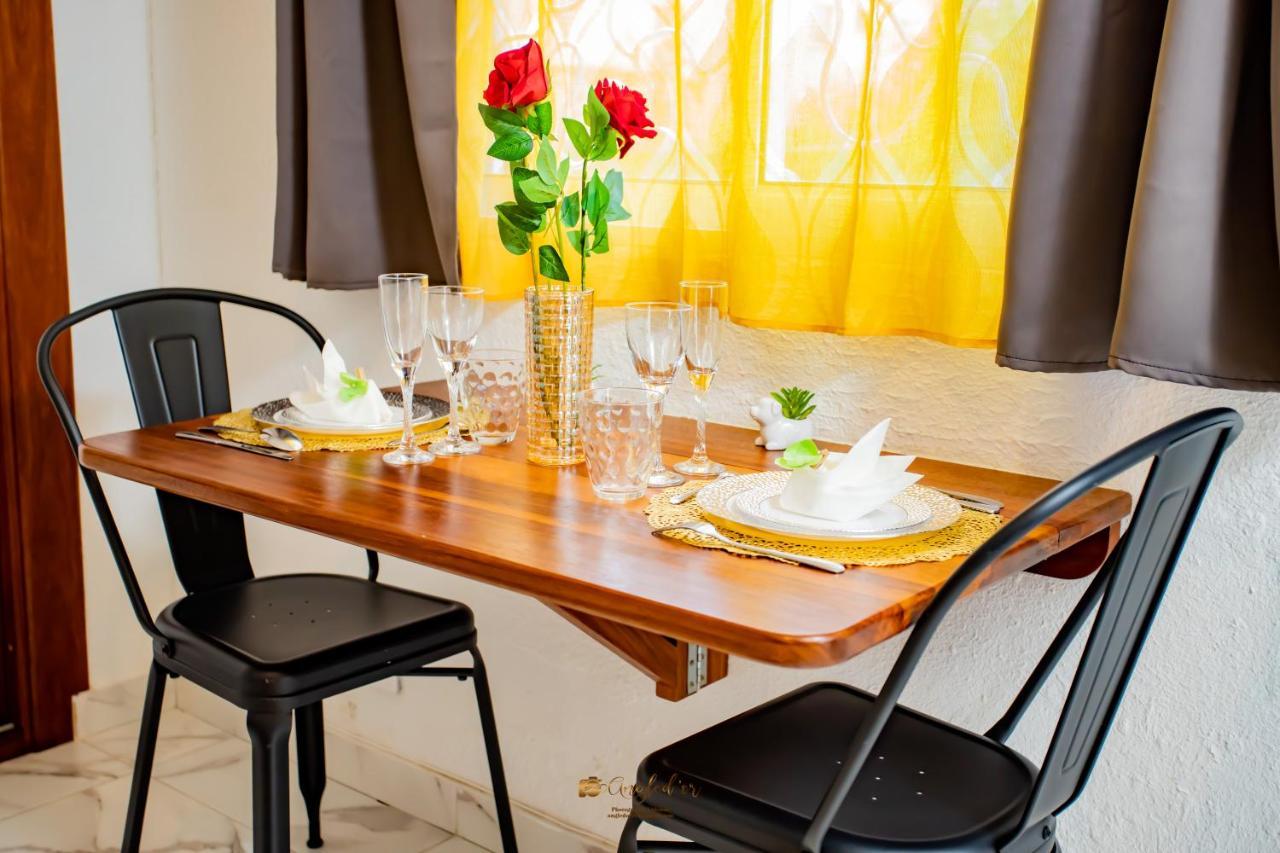 Apartmán Le Jardin Secret Guyanais Avec Piscine Et Jardin De 70 M2 Cayenne Exteriér fotografie
